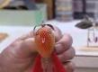 All About Lure Maker