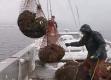 Mac's Manila Clams - A Winter's Tale Video