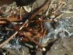 How To Create Fire From Magnifying Glass