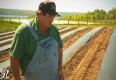 How To Make Raised Beds