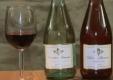 Emmanuel Delicata Review