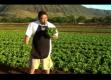Manoa Lettuce Review
