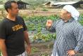 Ma'o Organic Farms And Csa