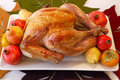 Thanksgiving Turkey