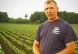 Mason Farms Review
