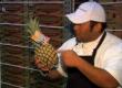 Why Choose Maui Gold Pineapple