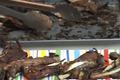 Mediterranean Style Lamb Chop