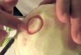 Melon Carving