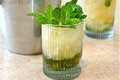Mint Julep