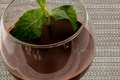 Minted Chocolate Mousse