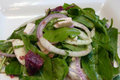 Minty Tomato - Fennel Salad