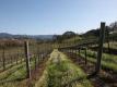 Montage Video: Capturing One Year Of Wine Country Life At Jordan Vineyard & Winery