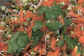 How To Make Moong And Carrot Salad