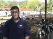 Morning Fresh Dairy Review