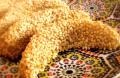 Gazelle Horns Covered with Sesame Seeds / 
