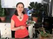 Moroccan Eggplant, Capers and Lemon Salad - Part 2 : Finalizing and Serving