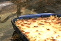 How To Make Macaroni And Blue Cheese