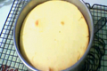 How To Make NY Style Cheese Cake