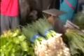 About Muang Mai Market in Chiang Mai in Thailand
