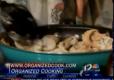 How To Make Mushroom White Wine Shallot Sauce