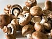 Mushrooms and Vitamin D 