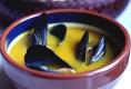 Mussel Stew