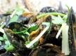 Curried Mussels