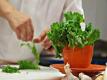 Seasons - Mustard Greens Video