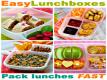 My Business Story-easylunchboxes