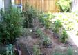 My Little Produce Garden