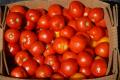 About Santa Sweets Tomato