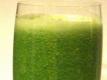 Nectarine Green Smoothie