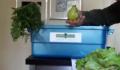 New Roots Csa Delivery 2