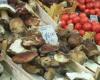 Nick Stellino's Favorite Farmer's Market