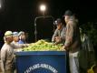 Night Harvest 2011, Harvesting Jordan Chardonnay Wine Grapes, Russian River Valley