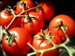 Do Nightshade Vegetables Like Tomatoes Cause Arthritis And Inflammation