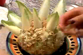 How To Make Ranch Cheese Ball