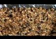 How To Make No Bake Crispy Oat Bars
