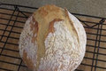 No Knead Country Bread
