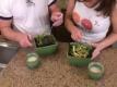 Nori Edamame Salad with Miso Sauce Recipe