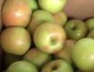 North Carolina Apples