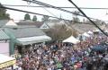 Food Festival Show Video