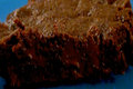 How to Make Old Fashioned Double Chocolate Brownies from Scratch
