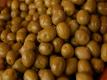 Olive Colors | The Color Of California Olives Video