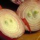 First Time Onion Cutting Video