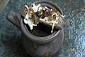 How To Make French Onion Soup
