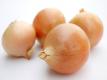 Seasons - Onions Video