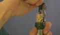 A Brief Guide On How To Open Wine Bottle