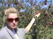 Organic Apples At Avalon Orchards