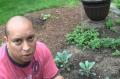 Organic Green Gardening